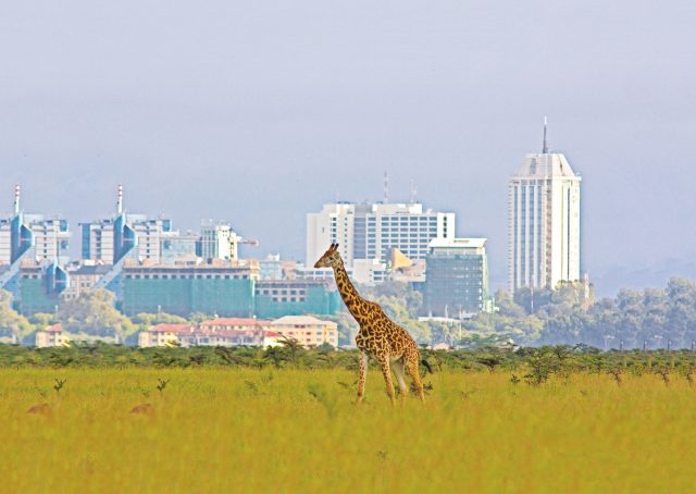 travel specialist in kenya