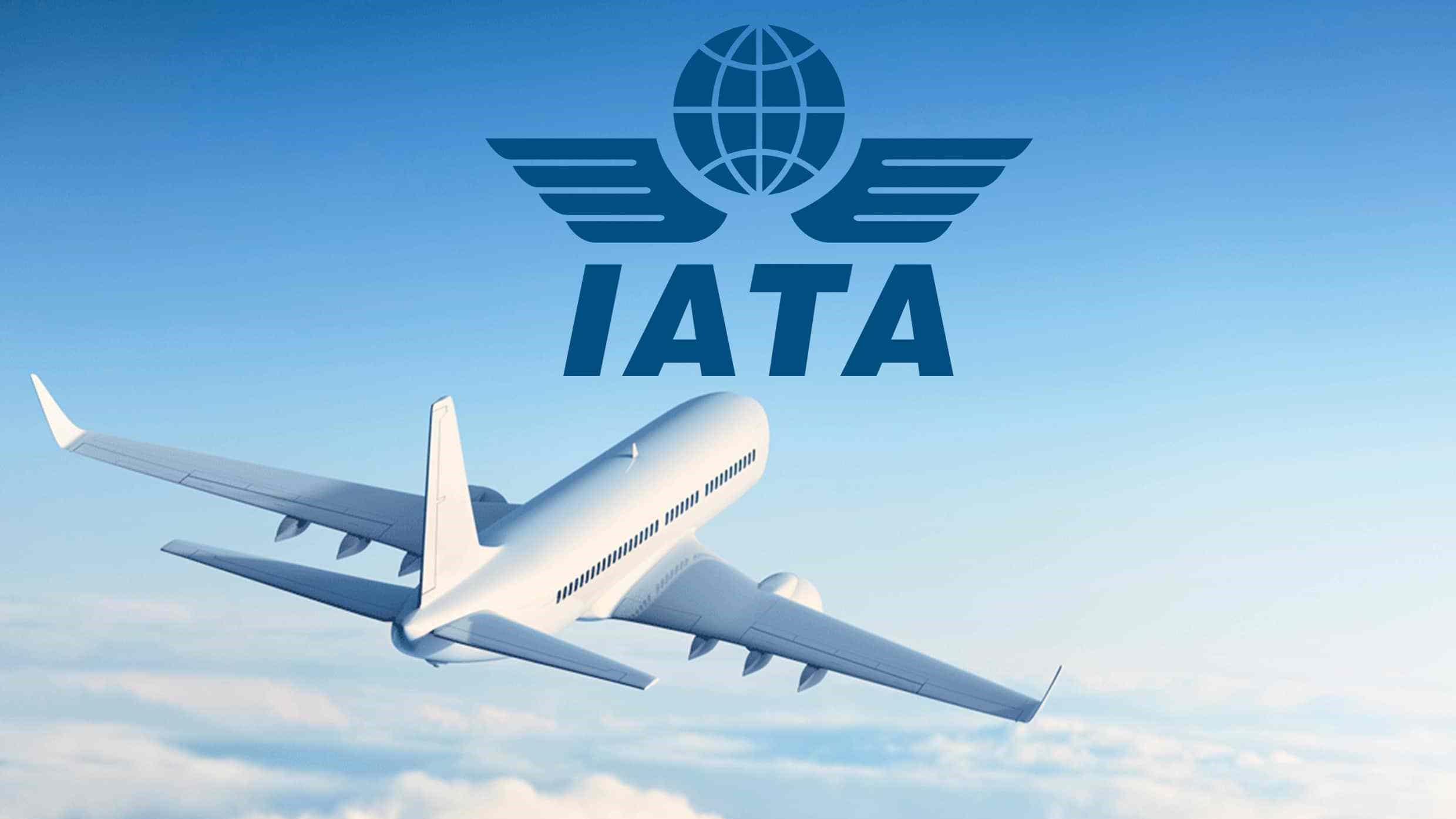 iata and travel agency