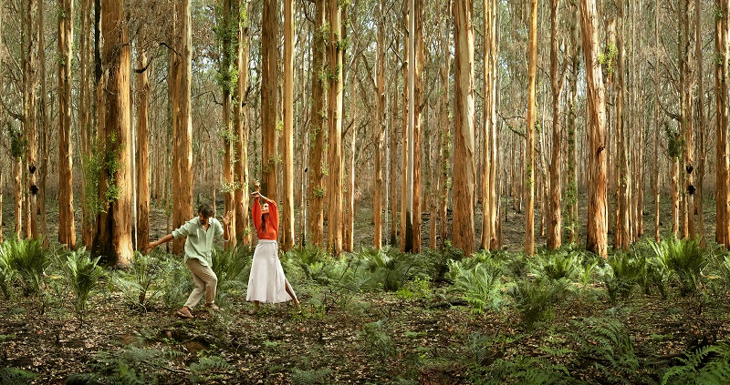 Boranup Forest, Margaret River Region