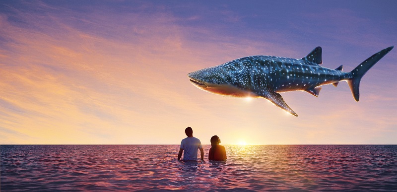 Ningaloo Reef