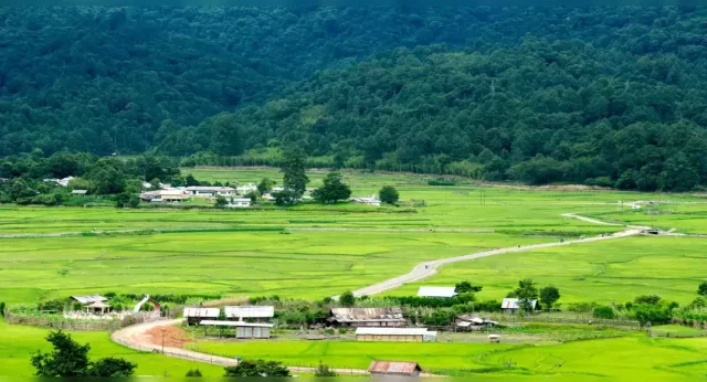 Ziro Valley