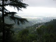 Kangra