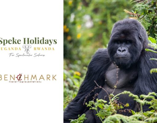 Speke Holidays - Uganda and Rwanda appoints Benchmark Travel Representations as its in India Representative