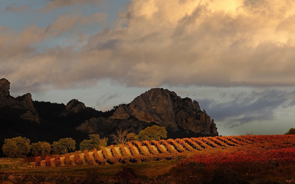 Vineyards in Sajazarra © La Rioja Turismo