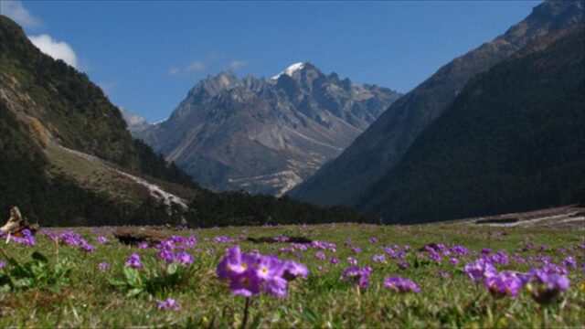 Yumthang Valley, Mangan District, Sikkim
