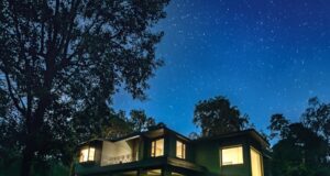 Coorg Wild Walk