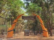 Chhattisgarh's Kanger Valley National Park on UNESCO's tentative list of World Heritage Sites