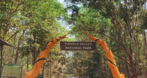 Chhattisgarh's Kanger Valley National Park on UNESCO's tentative list of World Heritage Sites