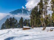 Kashmir