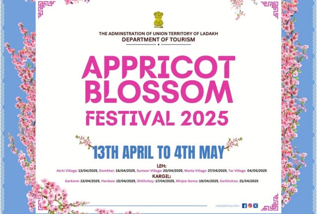 Ladakh Apricot Blossom Festival