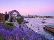 The Sydney Series Beyond the Icons – A New Frontier in Incentive Travel, Sydney Harbour