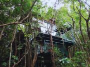 Jungle Machan