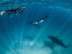 The Humpback Highway reopens along Western Australia’s Coral Coast