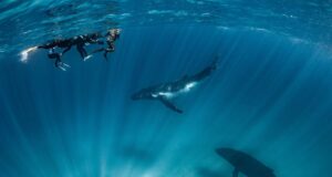 The Humpback Highway reopens along Western Australia’s Coral Coast
