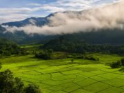 Northern Thailand